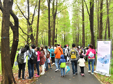 上海拓展培训-亲子家庭日一日团建-滨江森林公园