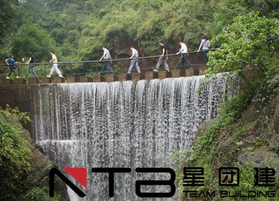 免责声明