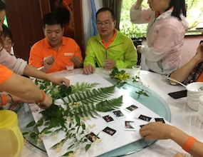 素质拓展对青少年有哪些意义？