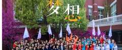 团队建设的建议